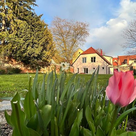 Om Yoga Center Apartment Slovenska Bistrica Luaran gambar