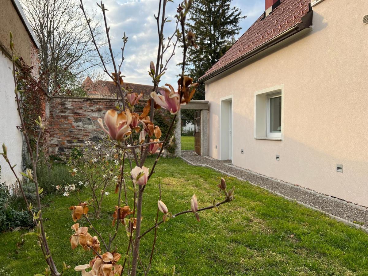 Om Yoga Center Apartment Slovenska Bistrica Luaran gambar